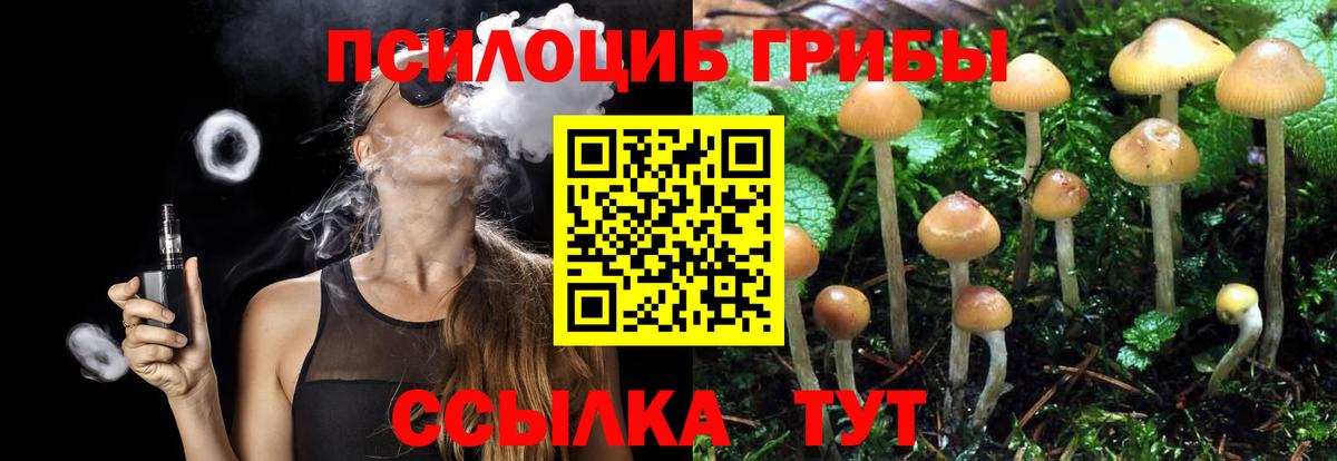 Галлюциногенные грибы Psilocybine cubensis Бутурлиновка