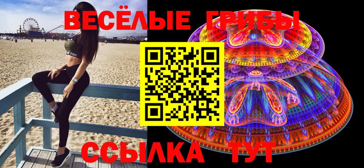 Псилоцибиновые грибы Psilocybe  купить  цена  Вход с VPN  Бутурлиновка  Галлюциногенные грибы Psilocybe 